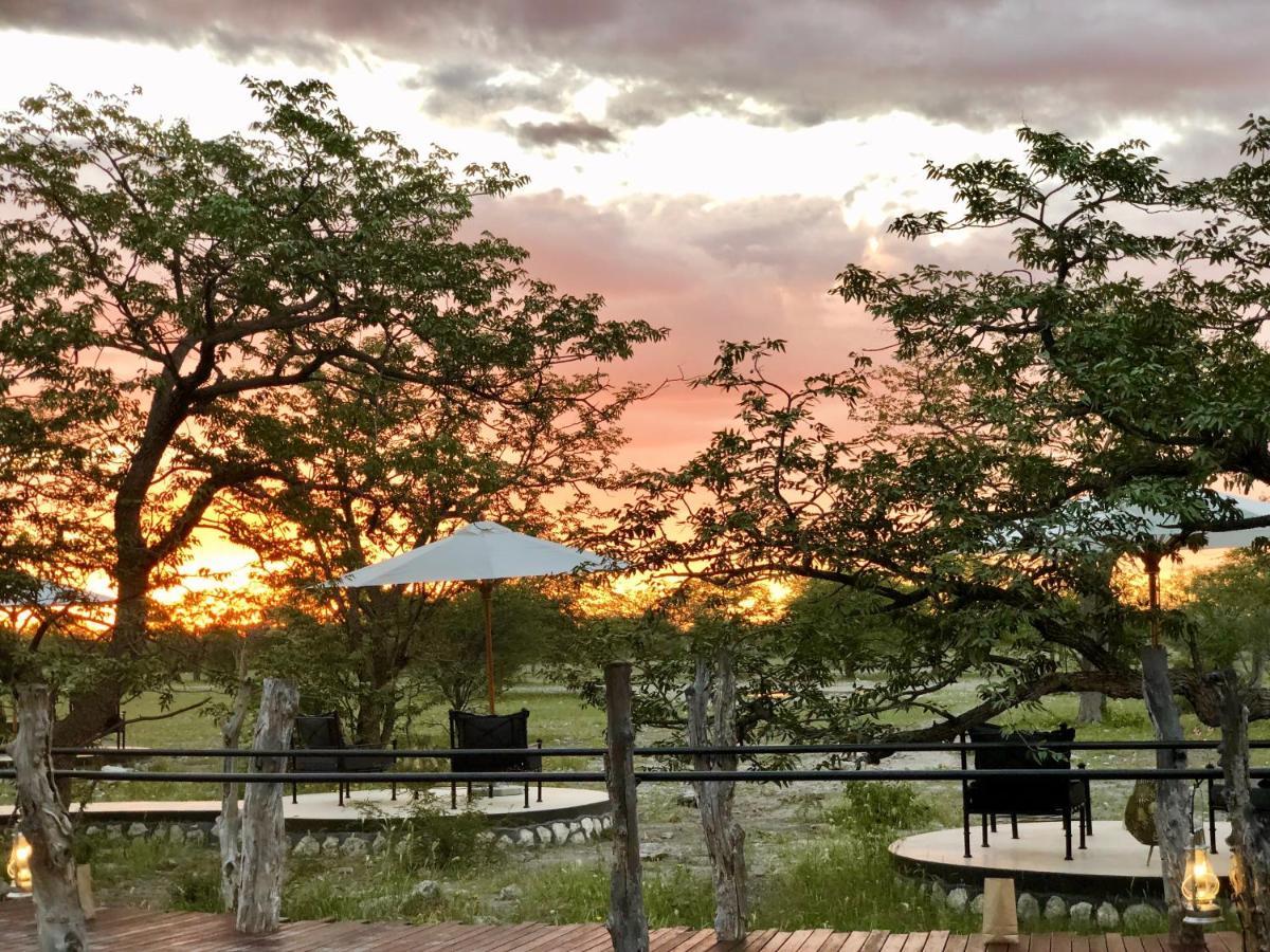 Etosha Oberland Lodge 奥考奎约 外观 照片