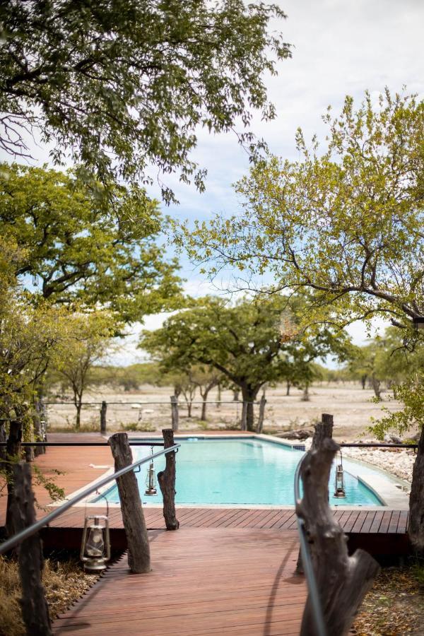 Etosha Oberland Lodge 奥考奎约 外观 照片